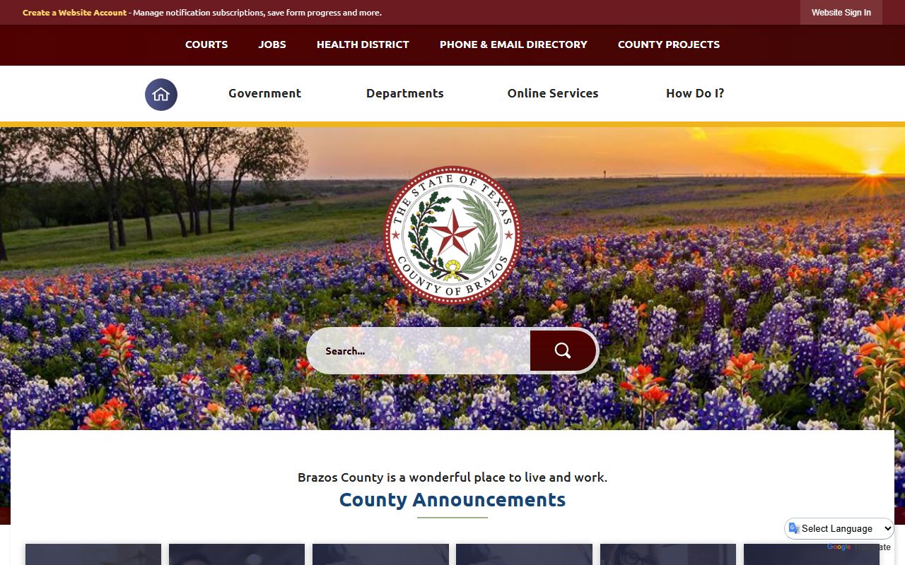 Brazos County criminal records portal