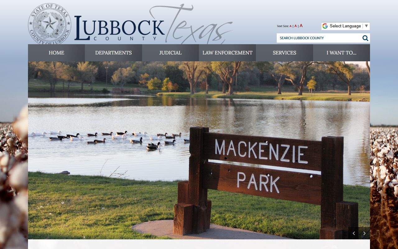 Lubbock County criminal records