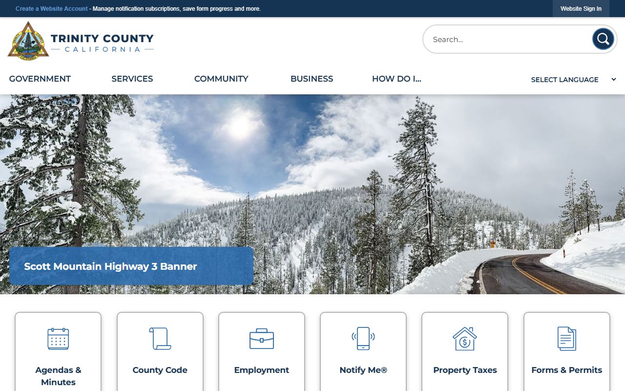 Trinity County portal criminal records