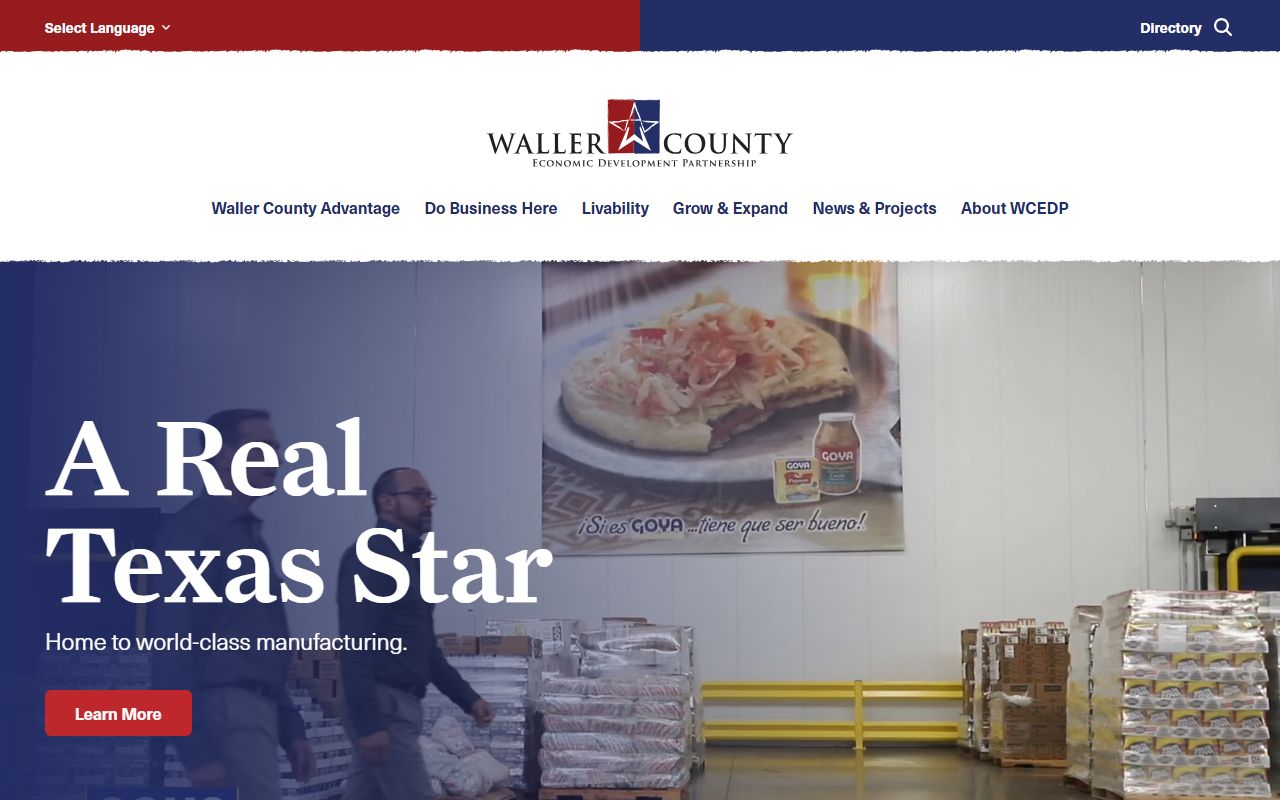 Waller County portal criminal records